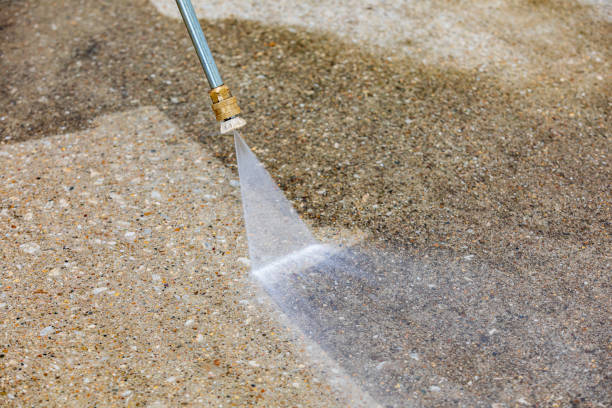 Best Soft Washing  in South Barrington, IL